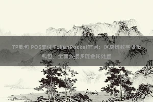 TP钱包 POS支付 TokenPocket官网：区块链数字货币钱包，全面救援多链金钱处置